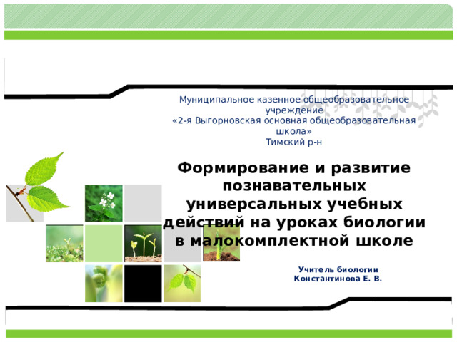 Муниципальное казенное общеобразовательное учреждение  «2-я Выгорновская основная общеобразовательная школа»  Тимский р-н Формирование и развитие познавательных универсальных учебных действий на уроках биологии в малокомплектной школе Учитель биологии Константинова Е. В. 