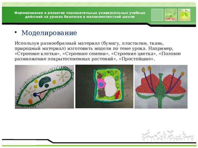Формирование и развитие познавательных универсальных учебных действий на уроках биологии в малокомплектной школе Моделирование Используя разнообразный материал (бумагу, пластилин, ткань, природный материал) изготовить модели по теме урока. Например, «Строение клетки», «Строение семени», «Строение цветка», «Половое размножение покрытосеменных растений», «Простейшие». 