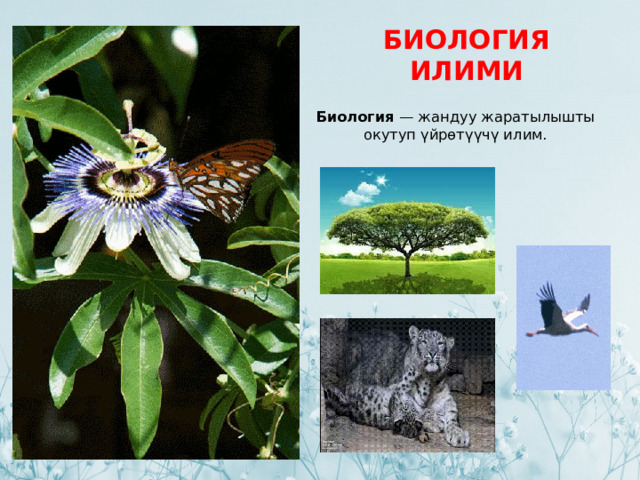 БИОЛОГИЯ ИЛИМИ Биология  — жандуу жаратылышты окутуп үйрөтүүчү илим. 