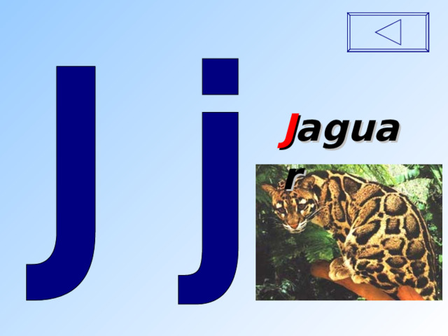 J aguar  