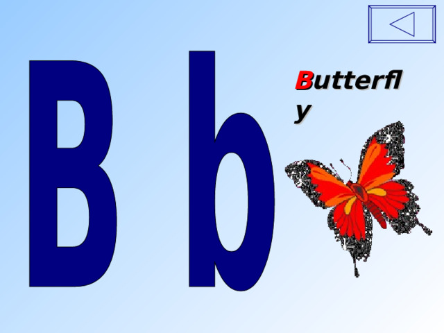 B utterfly 