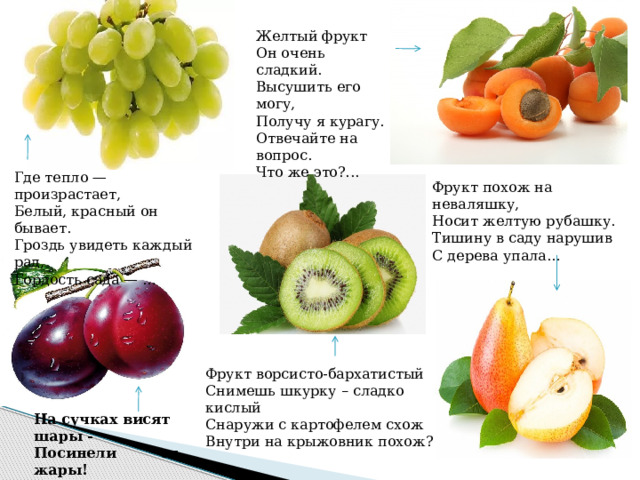 Желтый фрукт Он очень сладкий. Высушить его могу, Получу я курагу. Отвечайте на вопрос. Что же это?... Где тепло — произрастает,  Белый, красный он бывает. Гроздь увидеть каждый рад,  Гордость сада — … Фрукт похож на неваляшку, Носит желтую рубашку. Тишину в саду нарушив С дерева упала… Фрукт ворсисто-бархатистый Снимешь шкурку – сладко кислый Снаружи с картофелем схож Внутри на крыжовник похож? На сучках висят шары - Посинели от жары! 