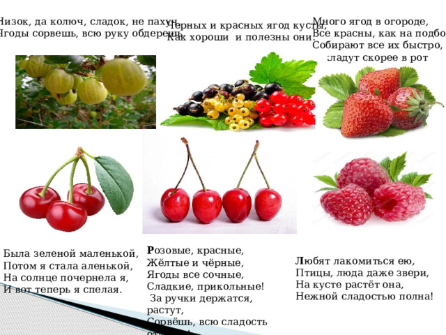 Низок, да колюч, сладок, не пахуч, Много ягод в огороде, Ягоды сорвешь, всю руку обдерешь. Все красны, как на подбор. Собирают все их быстро, И кладут скорее в рот Черных и красных ягод кусты, Как хороши и полезны они. Р озовые, красные, Жёлтые и чёрные, Ягоды все сочные, Сладкие, прикольные!  За ручки держатся, растут, Сорвёшь, всю сладость отдадут! Была зеленой маленькой,  Потом я стала аленькой,  На солнце почернела я,  И вот теперь я спелая. Л юбят лакомиться ею, Птицы, люда даже звери, На кусте растёт она, Нежной сладостью полна! 