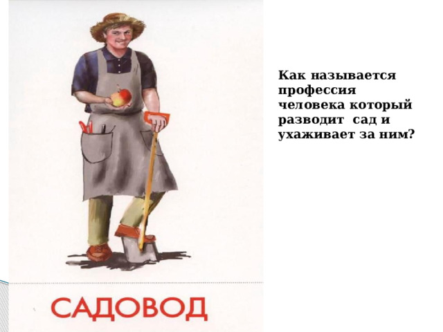 Как называется профессия человека который разводит сад и ухаживает за ним? 