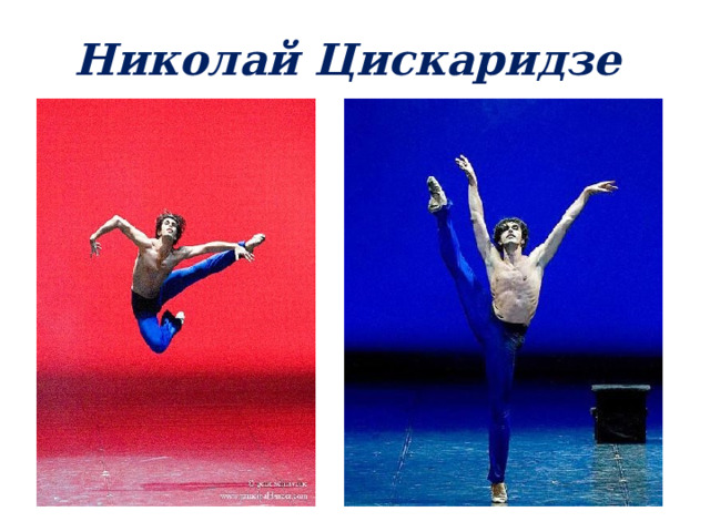 Николай Цискаридзе 