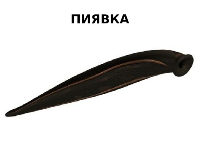 ПИЯВКА 