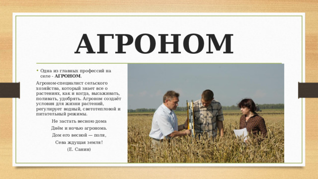 АГРОНОМ Одна из главных профессий на селе - АГРОНОМ . Агроном-специалист сельского хозяйства, который знает все о растениях, как и когда, высаживать, поливать, удобрять. Агроном создаёт условия для жизни растений, регулирует водный, светотепловой и питательный режимы. Не застать весною дома Днём и ночью агронома. Дом его весной — поля, Сева ждущая земля! (Е. Санин) 