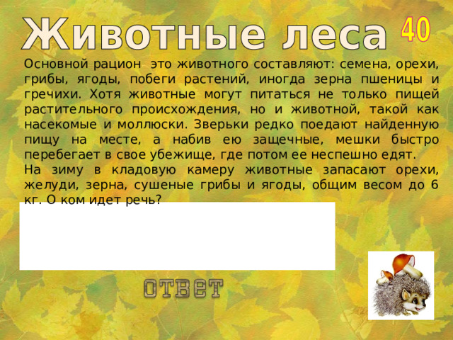 Основной рацион это животного составляют: семена, орехи, грибы, ягоды, побеги растений, иногда зерна пшеницы и гречихи. Хотя животные могут питаться не только пищей растительного происхождения, но и животной, такой как насекомые и моллюски. Зверьки редко поедают найденную пищу на месте, а набив ею защечные, мешки быстро перебегает в свое убежище, где потом ее неспешно едят. На зиму в кладовую камеру животные запасают орехи, желуди, зерна, сушеные грибы и ягоды, общим весом до 6 кг. О ком идет речь? Бурундук. 