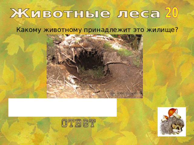 Какому животному принадлежит это жилище? Медведю. 