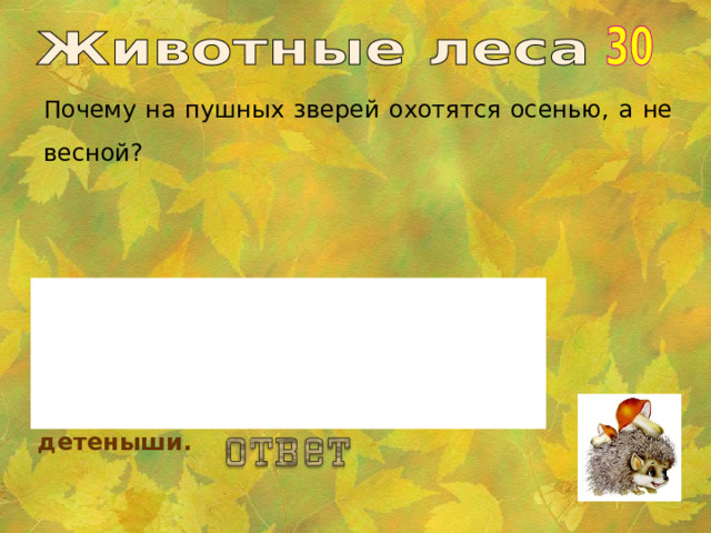 Почему на пушных зверей охотятся осенью, а не весной? Весной они линяют, теряют густой и толстый подшерсток, это обесценивает мех, у многих животных весной появляются детеныши. 