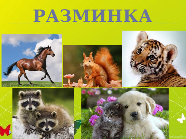 Разминка  