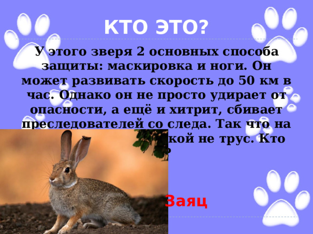 КТО ЭТО? У этого зверя 2 основных способа защиты: маскировка и ноги. Он может развивать скорость до 50 км в час. Однако он не просто удирает от опасности, а ещё и хитрит, сбивает преследователей со следа. Так что на самом деле он никакой не трус. Кто это? Заяц 