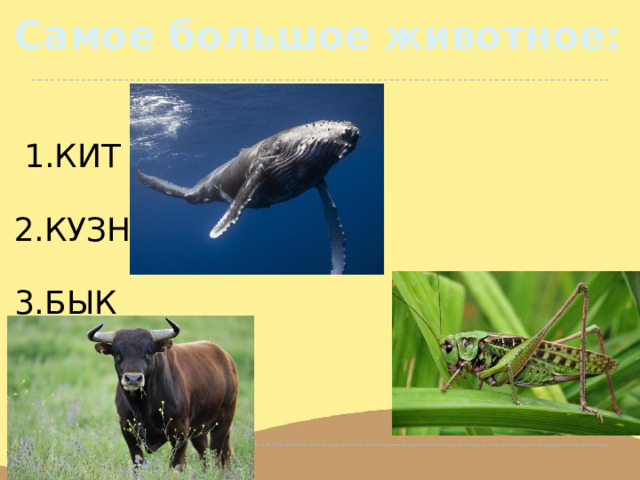 Самое большое животное:  1.КИТ  2.КУЗНЕЧИК 3.БЫК 