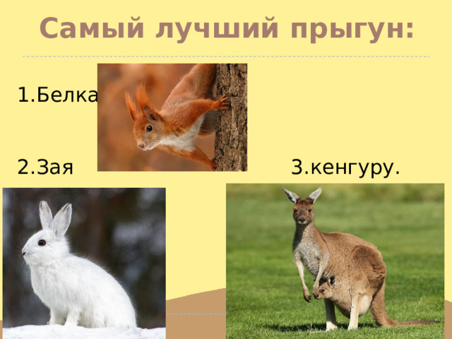  Самый лучший прыгун: 1.Белка 2.Зая 3.кенгуру. 