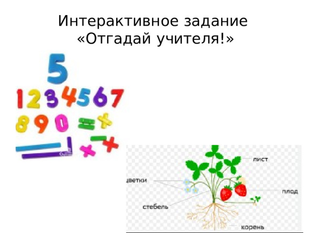 Интерактивное задание  «Отгадай учителя!» 
