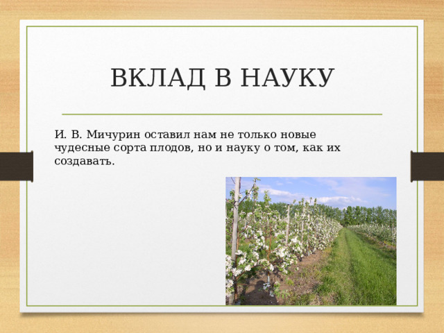 ВКЛАД В НАУКУ И. В. Мичурин оставил нам не только новые чудесные сорта плодов, но и науку о том, как их создавать. 