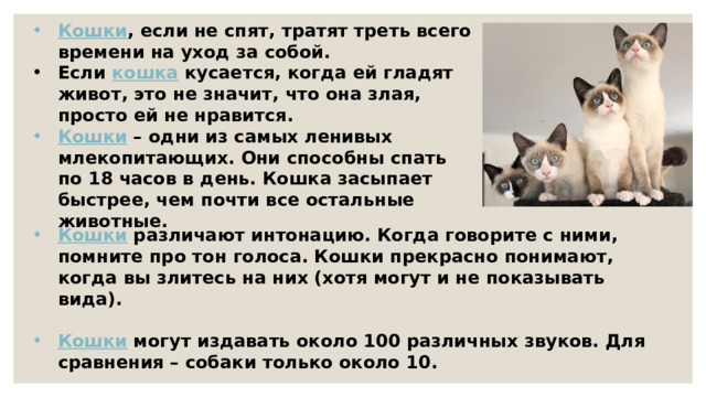 Кошки , если не спят, тратят треть всего времени на уход за собой. Если кошка кусается, когда ей гладят живот, это не значит, что она злая, просто ей не нравится. Кошки – одни из самых ленивых млекопитающих. Они способны спать по 18 часов в день. Кошка засыпает быстрее, чем почти все остальные животные . Кошки различают интонацию. Когда говорите с ними, помните про тон голоса. Кошки прекрасно понимают, когда вы злитесь на них (хотя могут и не показывать вида).  Кошки могут издавать около 100 различных звуков. Для сравнения – собаки только около 10. 