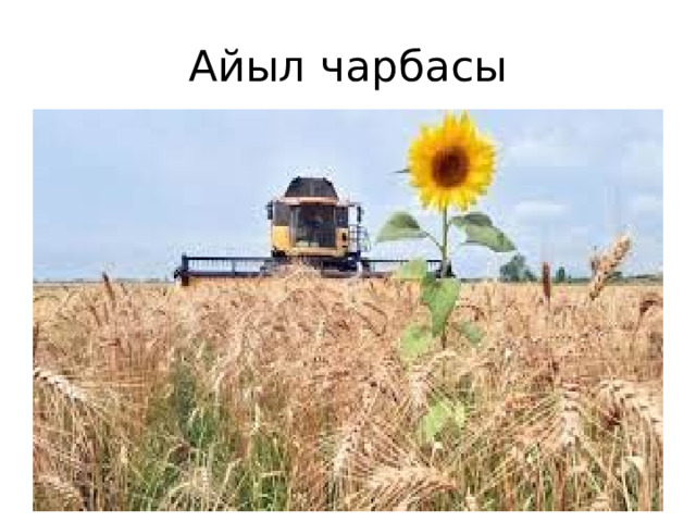Айыл чарбасы 