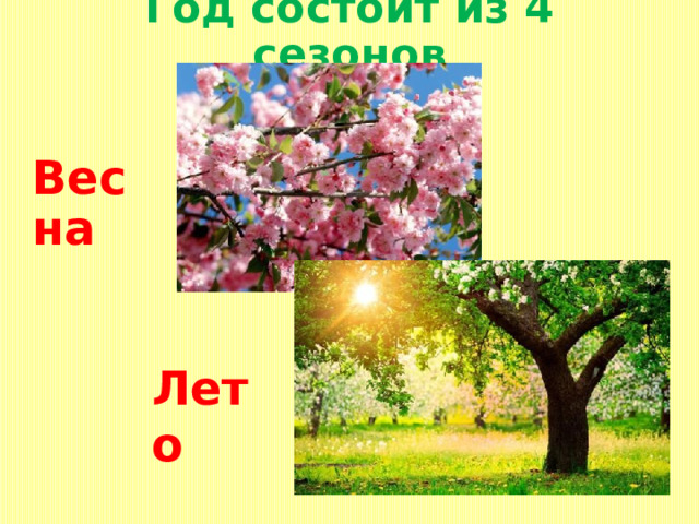 Год состоит из 4 сезонов Весна Лето  