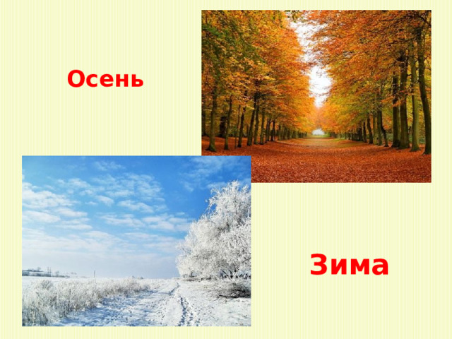 Осень  Зима  