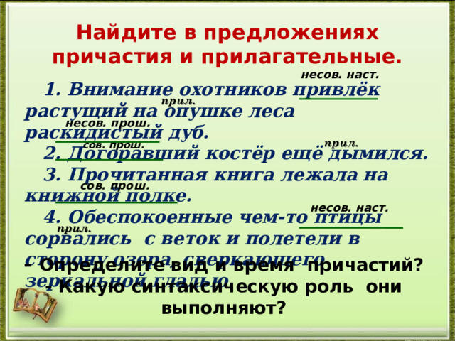 Найдите в предложениях причастия и прилагательные.   1. Внимание охотников привлёк растущий на опушке леса раскидистый дуб.  2. Догоравший костёр ещё дымился.  3. Прочитанная книга лежала на книжной полке.  4. Обеспокоенные чем-то птицы сорвались с веток и полетели в сторону озера, сверкающего зеркальной гладью.  несов. наст. несов. прош. сов. прош. сов. прош. несов. наст. - Определите вид и время причастий? - Какую синтаксическую роль они выполняют? 