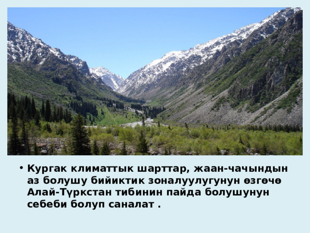 Кургак климаттык шарттар, жаан-чачындын аз болушу бийиктик зоналуулугунун өзгөчө Алай-Түркстан тибинин пайда болушунун себеби болуп саналат . 