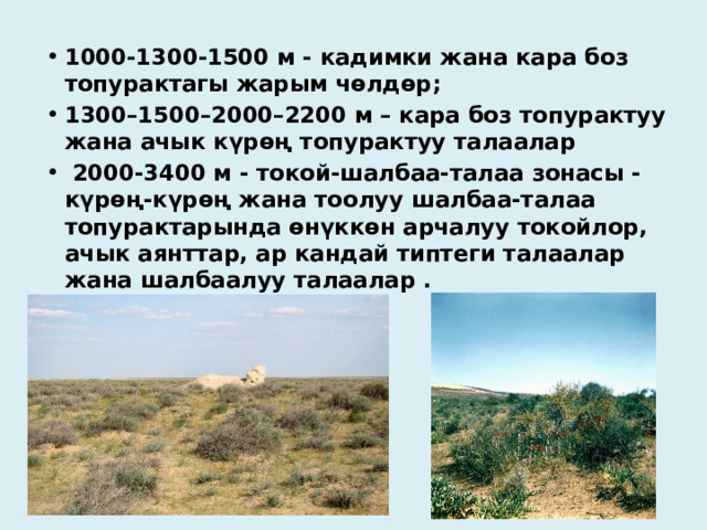 1000-1300-1500 м - кадимки жана кара боз топурактагы жарым чөлдөр; 1300–1500–2000–2200 м – кара боз топурактуу жана ачык күрөң топурактуу талаалар  2000-3400 м - токой-шалбаа-талаа зонасы - күрөң-күрөң жана тоолуу шалбаа-талаа топурактарында өнүккөн арчалуу токойлор, ачык аянттар, ар кандай типтеги талаалар жана шалбаалуу талаалар . 