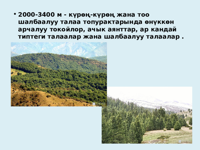 2000-3400 м - күрөң-күрөң жана тоо шалбаалуу талаа топурактарында өнүккөн арчалуу токойлор, ачык аянттар, ар кандай типтеги талаалар жана шалбаалуу талаалар .  