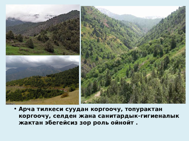 Арча тилкеси суудан коргоочу, топурактан коргоочу, селден жана санитардык-гигиеналык жактан эбегейсиз зор роль ойнойт . 