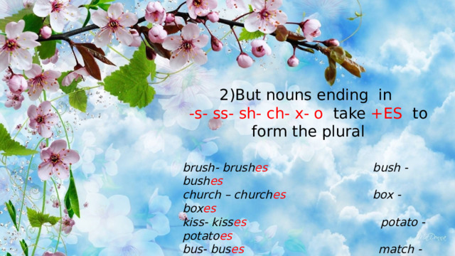 2)But nouns ending in -s- ss- sh- ch- x- o take +ES to form the plural brush- brush es bush - bush es  church – church es box - box es kiss- kiss es potato - potato es bus- bus es match - match es 