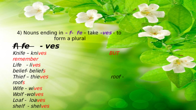 4) Nouns ending in – f- fe – take -ves - to form a plural f\ fe - ves Knife – kni ves  BUT remember Life - li ves belief- belief s  Thief – thie ves roof - roof s Wife - wi ves Wolf -wol ves Loaf - loa ves shelf - shel ves 