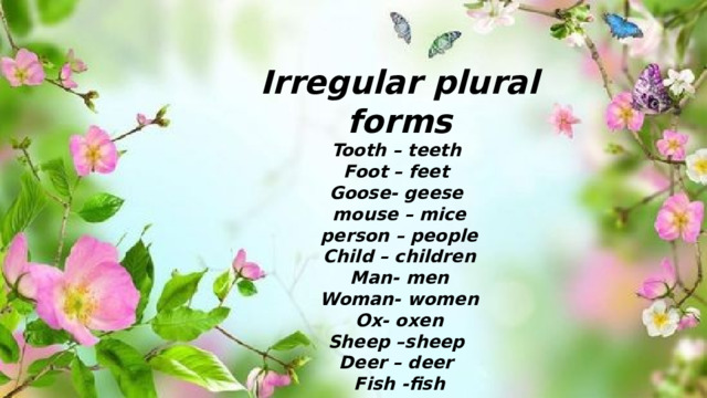 Irregular plural forms Tooth – teeth Foot – feet Goose- geese mouse – mice person – people Child – children Man- men Woman- women Ox- oxen Sheep –sheep Deer – deer Fish -fish 