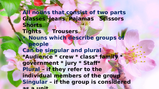 All nouns that consist of two parts Glasses Jeans Pajamas Scissors Shorts Tights Trousers Nouns which describe groups of people Can be singular and plural *Audience * crew * class* family * government * jury * Staff* Plural – if they refer to the individual members of the group Singular – if the group is considered as a unit  