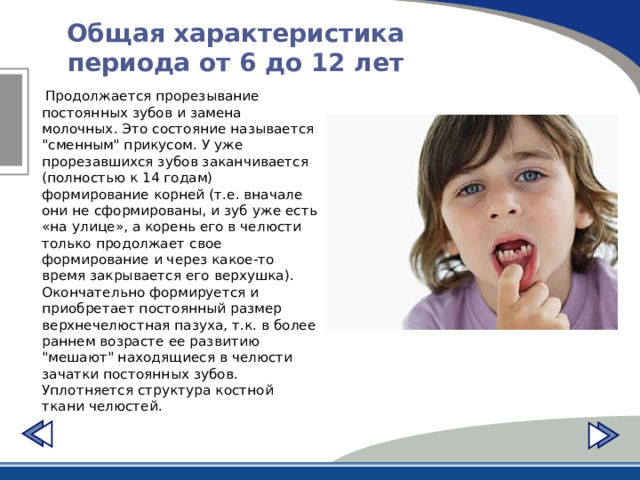 Общая характеристика периода от 6 до 12 лет  Продолжается прорезывание постоянных зубов и замена молочных. Это состояние называется 