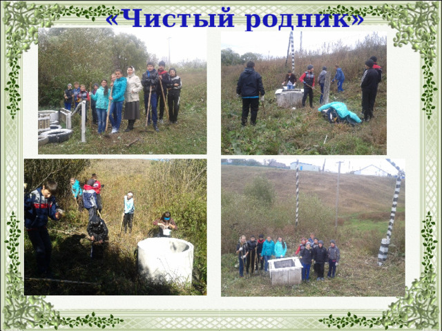«Чистый родник» 