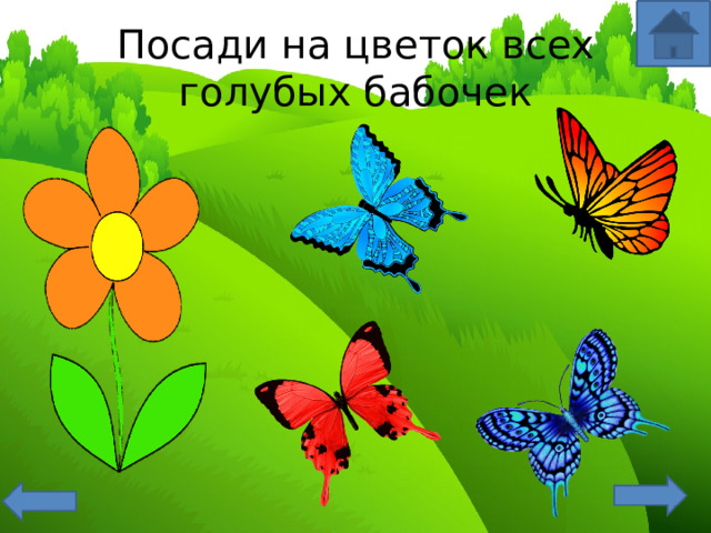 Посади на цветок всех голубых бабочек 