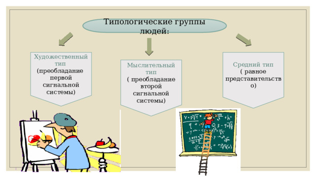 Типологические группы людей: Художественный тип Средний тип (преобладание первой сигнальной системы) ( равное представительство) Мыслительный тип ( преобладание второй сигнальной системы) 