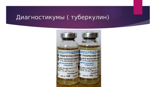 Диагностикумы ( туберкулин) 