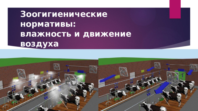 Зоогигиенические нормативы:  влажность и движение воздуха 