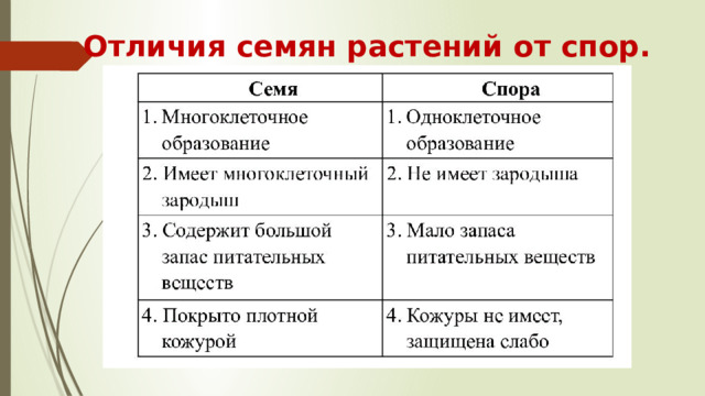 Отличия семян растений от спор. 