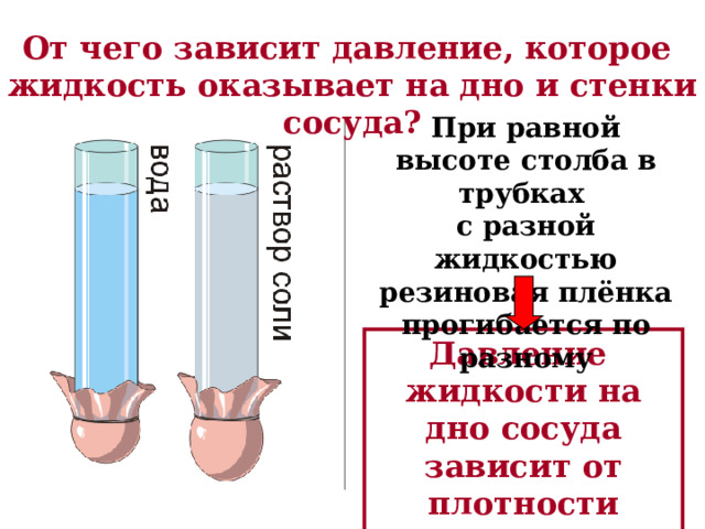 От чего зависит давление, которое жидкость оказывает на дно и стенки сосуда? При равной высоте столба в трубках с разной жидкостью резиновая плёнка прогибается по разному Давление жидкости на дно сосуда зависит от плотности жидкости 