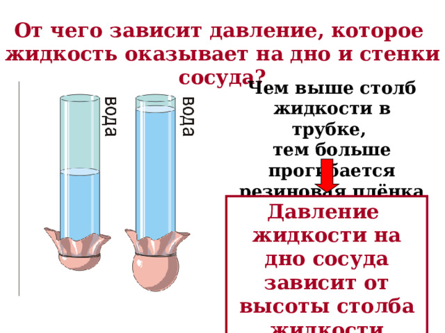 От чего зависит давление, которое жидкость оказывает на дно и стенки сосуда? Чем выше столб жидкости в трубке, тем больше прогибается резиновая плёнка Давление жидкости на дно сосуда зависит от высоты столба жидкости 