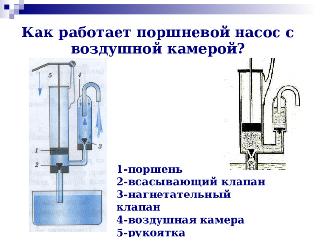 Как работает поршневой насос с воздушной камерой? 1-поршень 2-всасывающий клапан 3-нагнетательный клапан 4-воздушная камера 5-рукоятка 