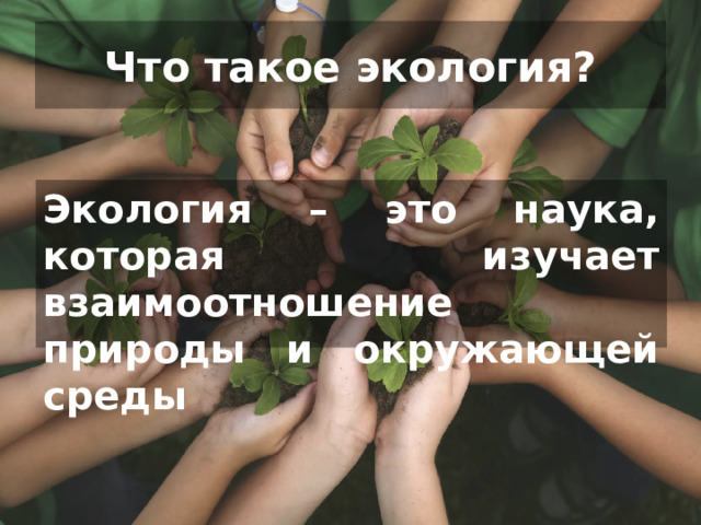Что такое экология? Экология – это наука, которая изучает взаимоотношение природы и окружающей среды 