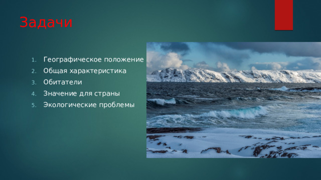Задачи Географическое положение Общая характеристика Обитатели Значение для страны Экологические проблемы 
