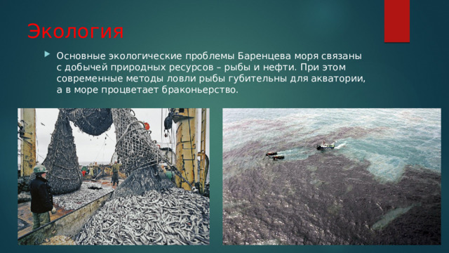 Экология Основные экологические проблемы Баренцева моря связаны с добычей природных ресурсов – рыбы и нефти. При этом современные методы ловли рыбы губительны для акватории, а в море процветает браконьерство. 