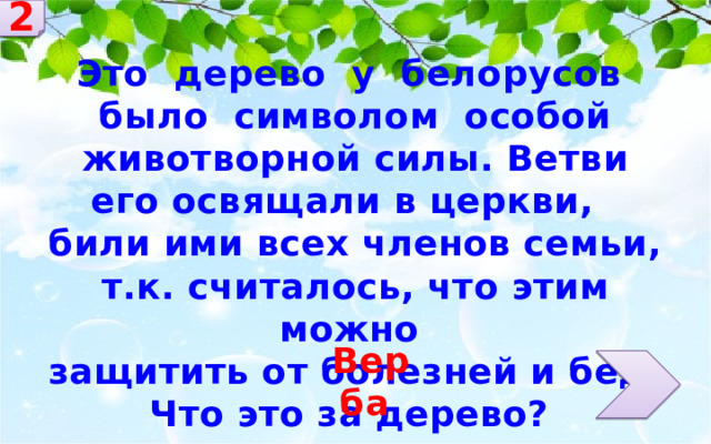 2 Это дерево у белорусов было символом особой животворной силы. Ветви его освящали в церкви, били ими всех членов семьи, т.к. считалось, что этим можно защитить от болезней и бед. Что это за дерево? Верба 