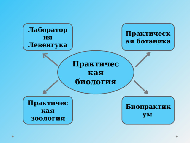 Лаборатория Левенгука Практическая ботаника Практическая биология Практическая зоология Биопрактикум  
