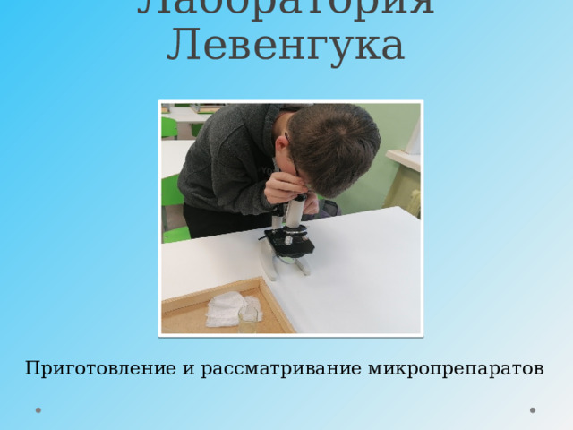 Лаборатория Левенгука Приготовление и рассматривание микропрепаратов 