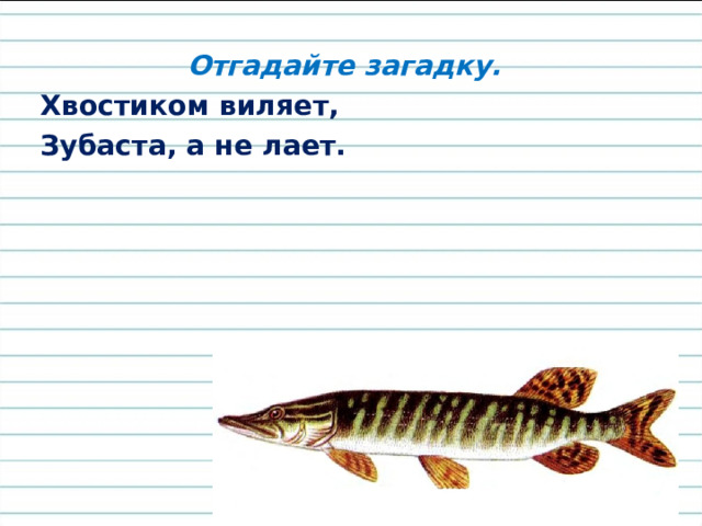 Запишите ответы на вопросы. 1.Школьная принадлежность для письма? 2. Ученик, который следит за порядком? 3. Тот, кто преподаёт в школе? 4. Первый месяц осени? 5. Верхняя одежда? 